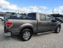 2012 Gray /Gray Ford F-150 FX2 SuperCrew 5.5-ft. Bed 2WD (1FTFW1CF4CF) with an 5.0L V8 engine, Automatic transmission, located at 15016 S Hwy 231, Midland City, AL, 36350, (334) 983-3001, 31.306210, -85.495277 - Photo#8