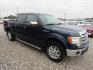 2013 Blue /Gray Ford F-150 XLT SuperCrew 6.5-ft. Bed 4WD (1FTFW1EF8DK) with an 5.0L V8 engine, Automatic transmission, located at 15016 S Hwy 231, Midland City, AL, 36350, (334) 983-3001, 31.306210, -85.495277 - Photo#0