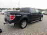 2013 Blue /Gray Ford F-150 XLT SuperCrew 6.5-ft. Bed 4WD (1FTFW1EF8DK) with an 5.0L V8 engine, Automatic transmission, located at 15016 S Hwy 231, Midland City, AL, 36350, (334) 983-3001, 31.306210, -85.495277 - Photo#4