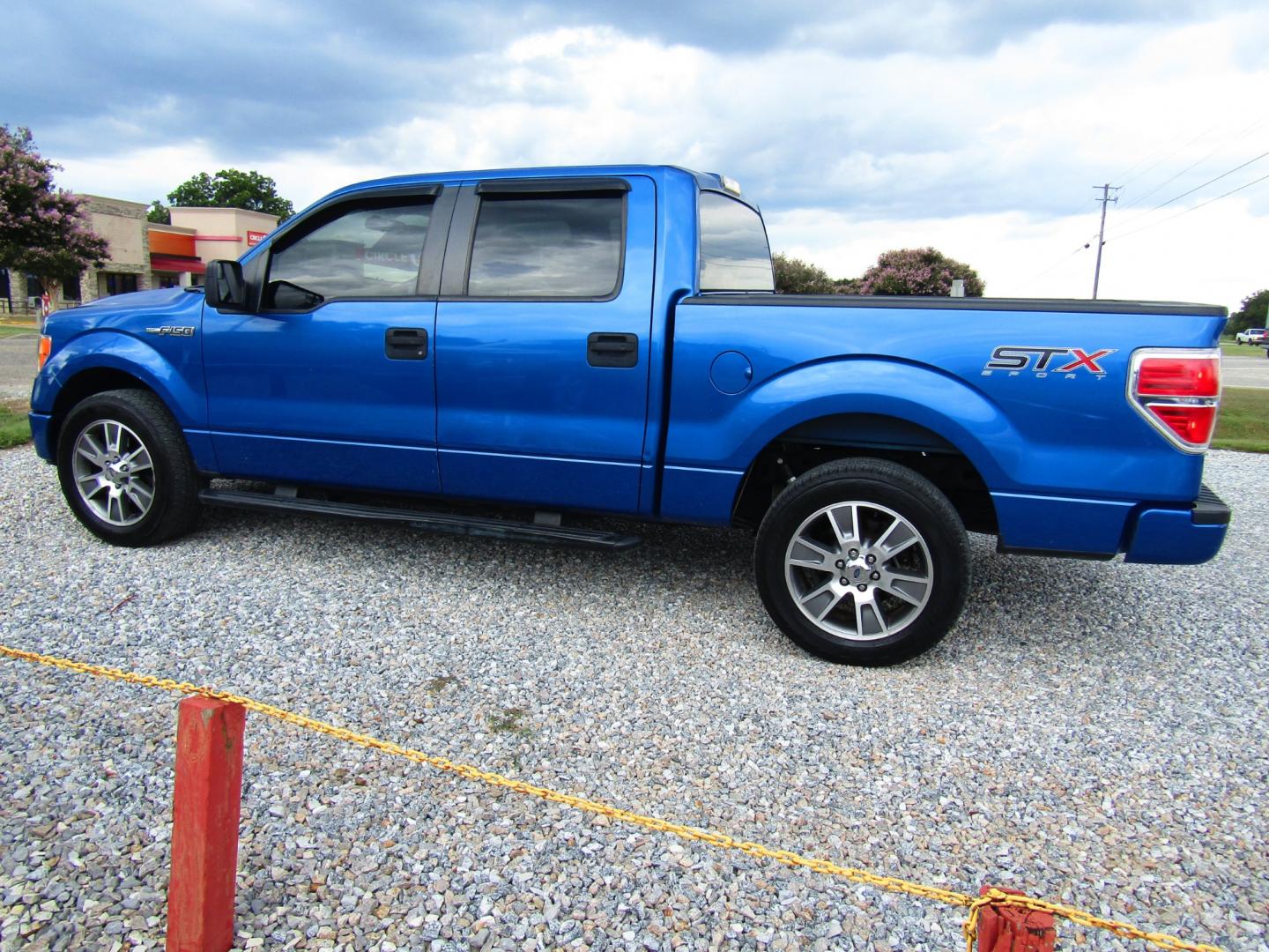 2014 Blue /Gray Ford F-150 FX2 SuperCrew 5.5-ft. Bed 2WD (1FTFW1CF5EK) with an 5.0L V8 engine, Automatic transmission, located at 15016 S Hwy 231, Midland City, AL, 36350, (334) 983-3001, 31.306210, -85.495277 - Photo#5