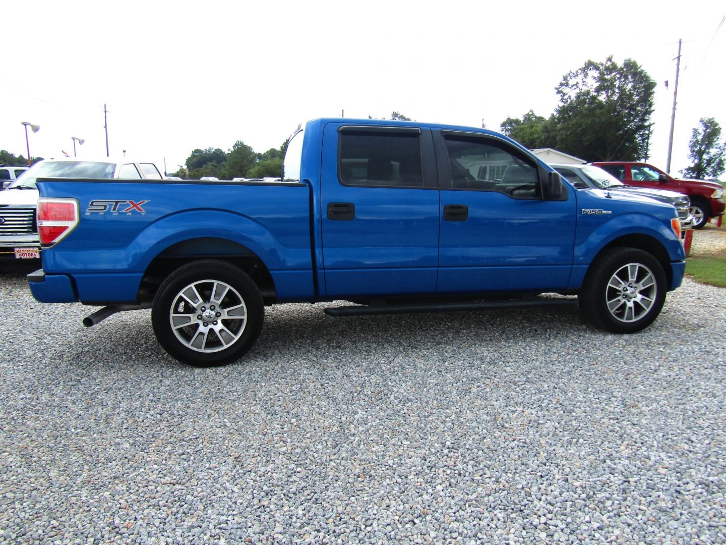 2014 Blue /Gray Ford F-150 FX2 SuperCrew 5.5-ft. Bed 2WD (1FTFW1CF5EK) with an 5.0L V8 engine, Automatic transmission, located at 15016 S Hwy 231, Midland City, AL, 36350, (334) 983-3001, 31.306210, -85.495277 - Photo#7