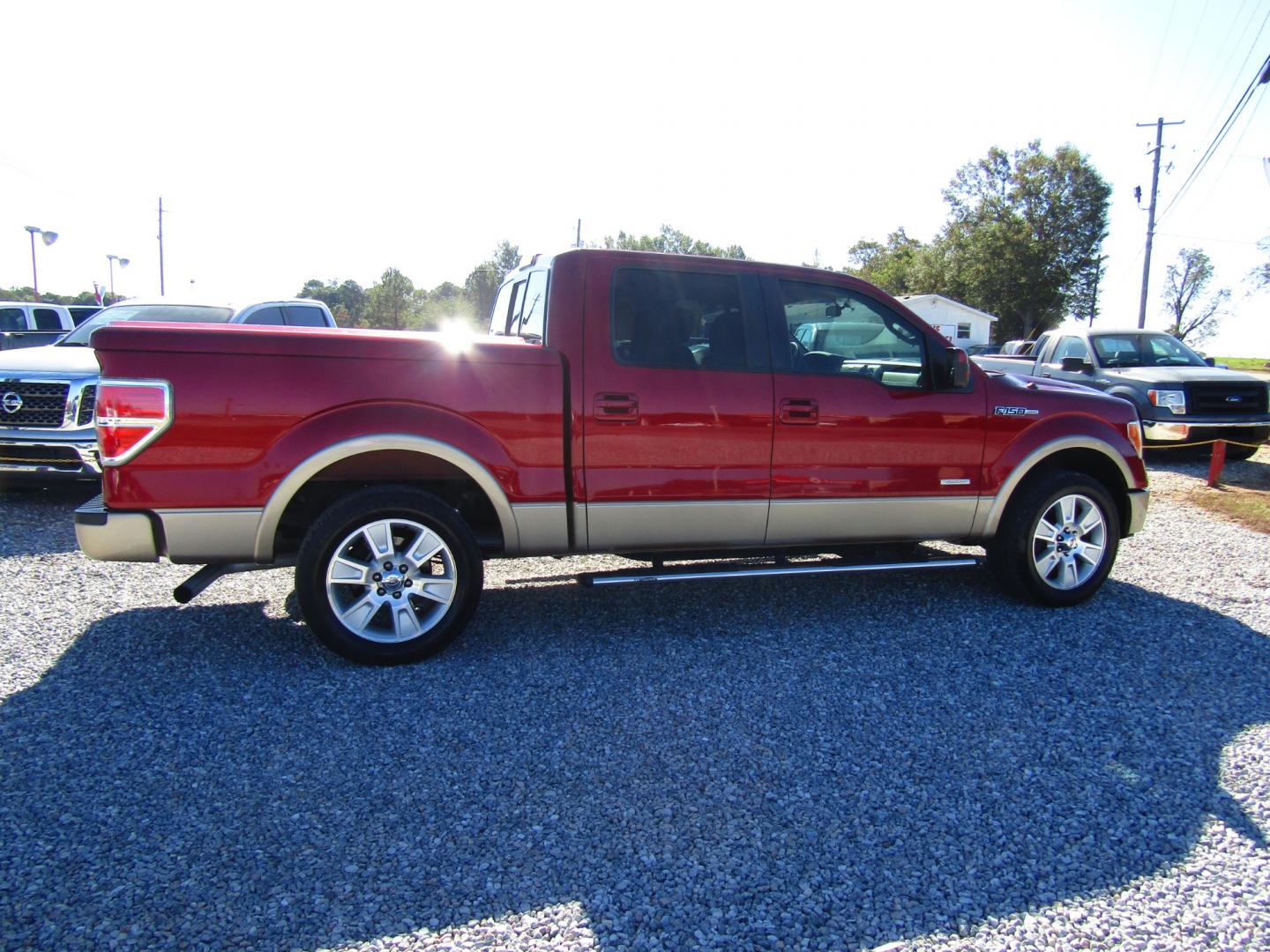 2013 Red /Tan Ford F-150 Platinum SuperCrew 6.5-ft. Bed 2WD (1FTFW1CT6DK) with an 3.5L V6 TURBO engine, Automatic transmission, located at 15016 S Hwy 231, Midland City, AL, 36350, (334) 983-3001, 31.306210, -85.495277 - Photo#7