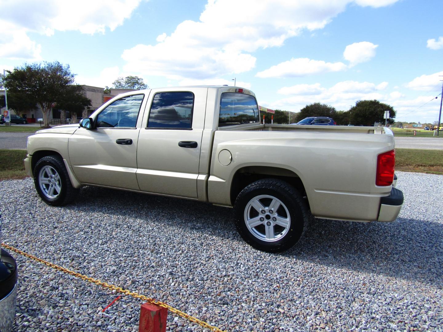 2011 Gold Dodge Dakota SXT Crew Cab 2WD (1D7RE3GK5BS) with an 3.7L V6 SOHC 12V engine, Automatic transmission, located at 15016 S Hwy 231, Midland City, AL, 36350, (334) 983-3001, 31.306210, -85.495277 - Photo#5