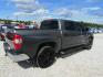 2016 Gray /Gray Toyota Tundra (5TFEW5F18GX) , located at 15016 S Hwy 231, Midland City, AL, 36350, (334) 983-3001, 31.306210, -85.495277 - Photo#7