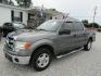 2013 Gray Ford F-150 FX2 SuperCrew 5.5-ft. Bed 2WD (1FTFW1CF3DF) with an 5.0L V8 engine, Automatic transmission, located at 15016 S Hwy 231, Midland City, AL, 36350, (334) 983-3001, 31.306210, -85.495277 - Photo#2