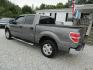 2013 Gray Ford F-150 FX2 SuperCrew 5.5-ft. Bed 2WD (1FTFW1CF3DF) with an 5.0L V8 engine, Automatic transmission, located at 15016 S Hwy 231, Midland City, AL, 36350, (334) 983-3001, 31.306210, -85.495277 - Photo#5