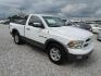 2010 White Dodge Ram 1500 SLT SWB 2WD (3D7JB1ET0AG) with an 5.7L V8 OHV 16V engine, Automatic transmission, located at 15016 S Hwy 231, Midland City, AL, 36350, (334) 983-3001, 31.306210, -85.495277 - Photo#0