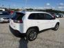 2019 White Jeep Cherokee Latitude Plus FWD (1C4PJLLB8KD) with an 2.4L L4 DOHC 16V engine, Automatic transmission, located at 15016 S Hwy 231, Midland City, AL, 36350, (334) 983-3001, 31.306210, -85.495277 - Photo#7