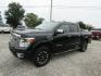 2017 Black Nissan Titan Platinum Reserve Crew Cab 4WD (1N6AA1E5XHN) with an 5.6L V8 DOHC 32V engine, Automatic transmission, located at 15016 S Hwy 231, Midland City, AL, 36350, (334) 983-3001, 31.306210, -85.495277 - Photo#2