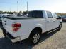 2014 White Ford F-150 XLT SuperCrew 5.5-ft. Bed 2WD (1FTEW1CM8EK) with an 3.7L V6 DOHC 24V engine, Automatic transmission, located at 15016 S Hwy 231, Midland City, AL, 36350, (334) 983-3001, 31.306210, -85.495277 - Photo#8