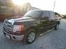 2013 Black Ford F-150 Platinum SuperCrew 6.5-ft. Bed 2WD (1FTFW1CT8DK) with an 3.5L V6 TURBO engine, Automatic transmission, located at 15016 S Hwy 231, Midland City, AL, 36350, (334) 983-3001, 31.306210, -85.495277 - Photo#2