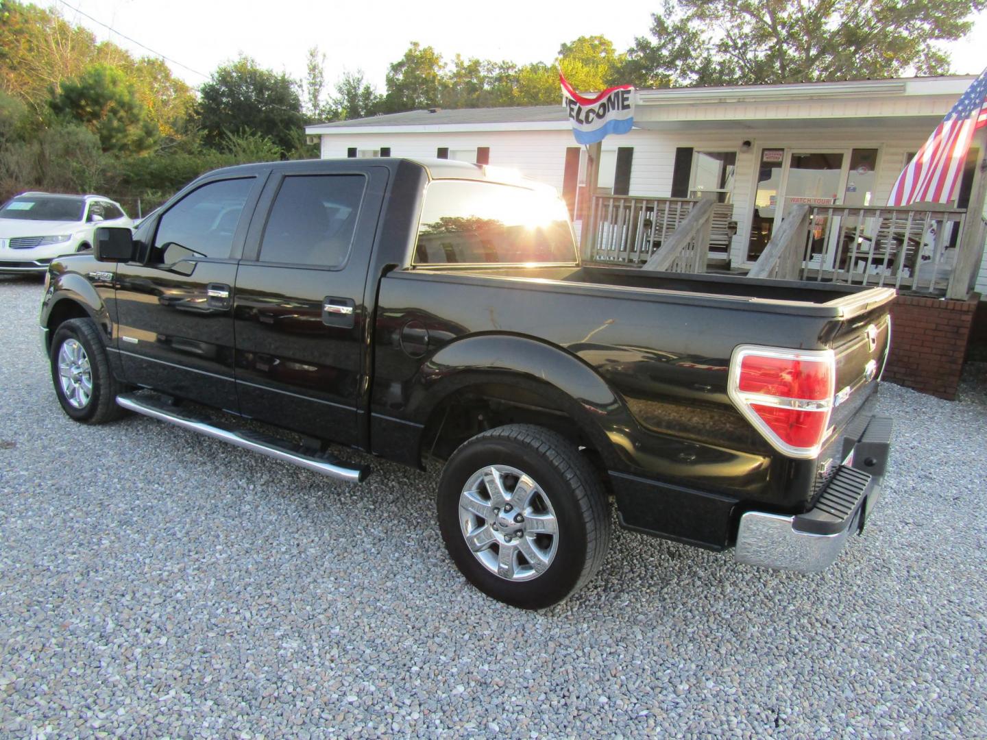 2013 Black Ford F-150 Platinum SuperCrew 6.5-ft. Bed 2WD (1FTFW1CT8DK) with an 3.5L V6 TURBO engine, Automatic transmission, located at 15016 S Hwy 231, Midland City, AL, 36350, (334) 983-3001, 31.306210, -85.495277 - Photo#6