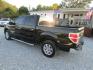 2013 Black Ford F-150 Platinum SuperCrew 6.5-ft. Bed 2WD (1FTFW1CT8DK) with an 3.5L V6 TURBO engine, Automatic transmission, located at 15016 S Hwy 231, Midland City, AL, 36350, (334) 983-3001, 31.306210, -85.495277 - Photo#6