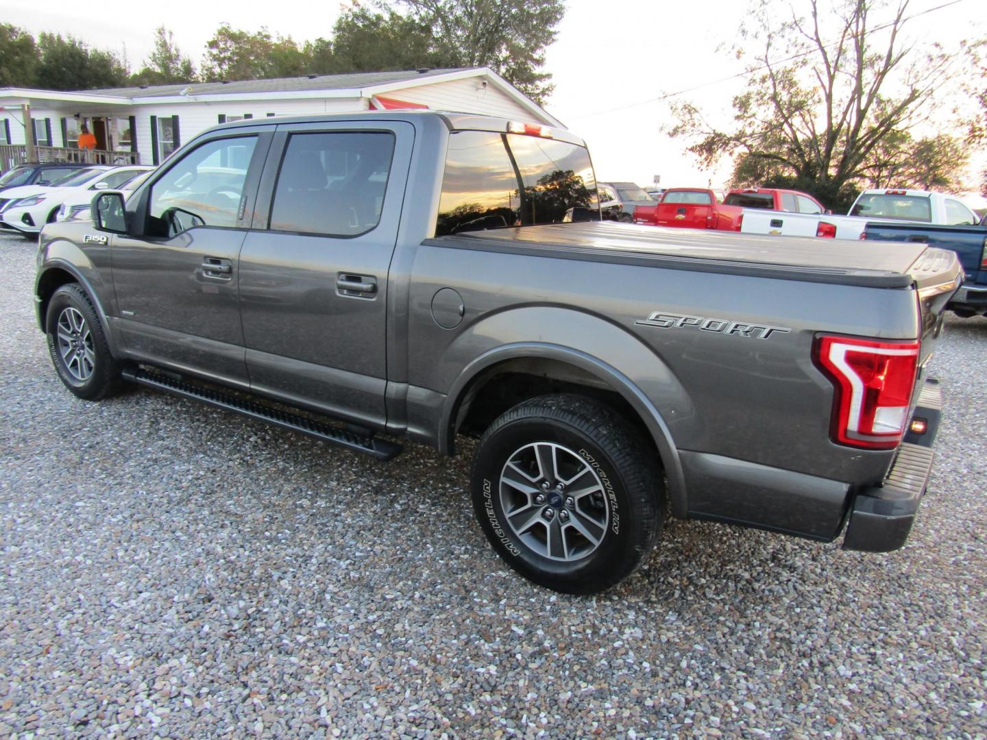 2015 Gray Ford F-150 XLT SuperCrew 6.5-ft. Bed 4WD (1FTEW1CG0FK) with an 3.5L V6 TURBO engine, Automatic transmission, located at 15016 S Hwy 231, Midland City, AL, 36350, (334) 983-3001, 31.306210, -85.495277 - Photo#7