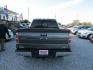 2014 Gray Ford F-150 XL SuperCrew 5.5-ft. Bed 4WD (1FTFW1EF2EF) with an 5.0L V8 engine, Automatic transmission, located at 15016 S Hwy 231, Midland City, AL, 36350, (334) 983-3001, 31.306210, -85.495277 - Photo#5